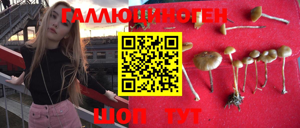 Галлюциногенные грибы мицелий Донецк