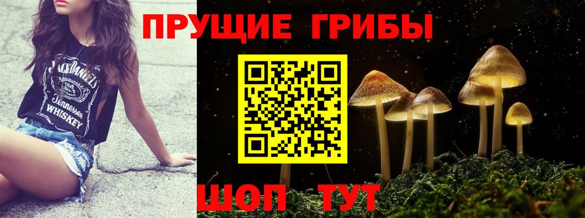 Псилоцибиновые грибы Magic Shrooms  Вход с VPN  Галлюциногенные грибы Cubensis  Донецк 